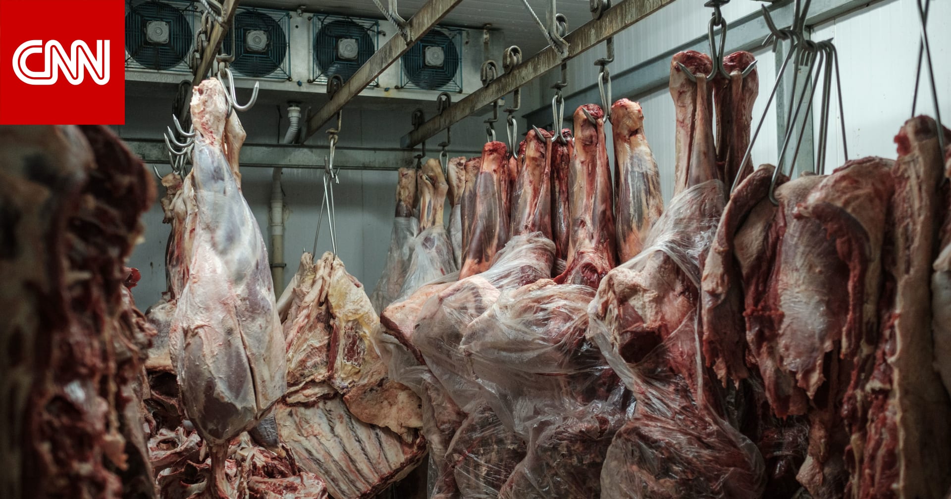 لماذا لم تُوقف مصر استيراد اللحوم من البرازيل بعد رصد إصابات بجنون البقر؟ تجار يجيبون