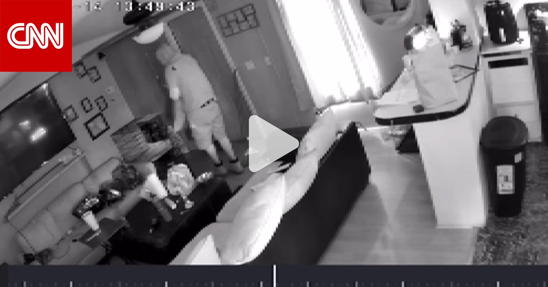 صورته كاميرا مراقبة.. شاهد كيف سرق لص كلابا من داخل منزل